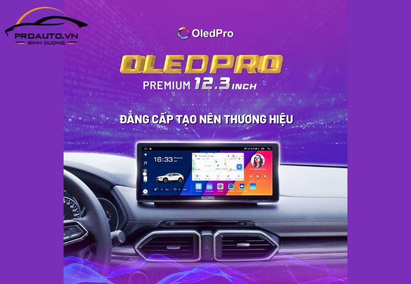 Màn hình OledPro Premium 12.3 inch 